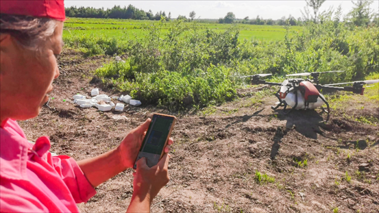 华姐在手机app上启动极飞P80农业无人机起飞作业