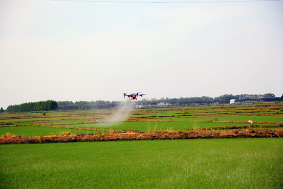 极飞 P80农业无人机正在向水稻田里喷洒除草剂