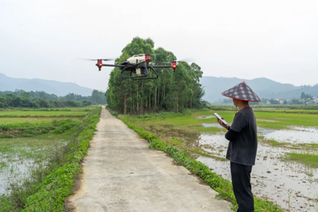 丽华的助手阿博正操作极飞科技农业无人机起飞作业