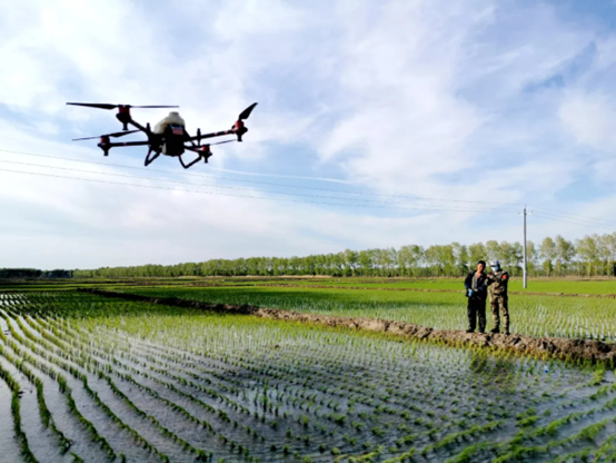 极飞无人机在东北黑龙江省三江平原的鸭绿河农场作业