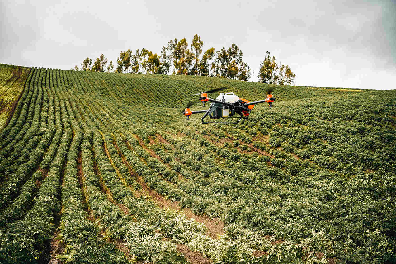 The agricultural drone can be a sustainable solution to the Ecuadorian farmers