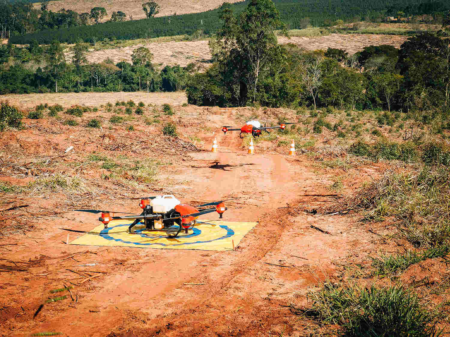 Using spray drones to explore the possibilities of forest management