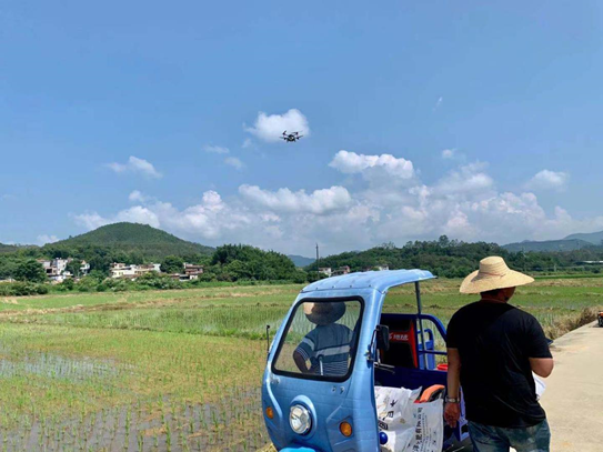 极飞P80农业无人机在水稻田中撒肥