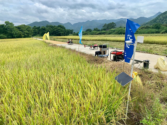 陈丽华的水稻田采用了极飞科技的全套智能农业设备