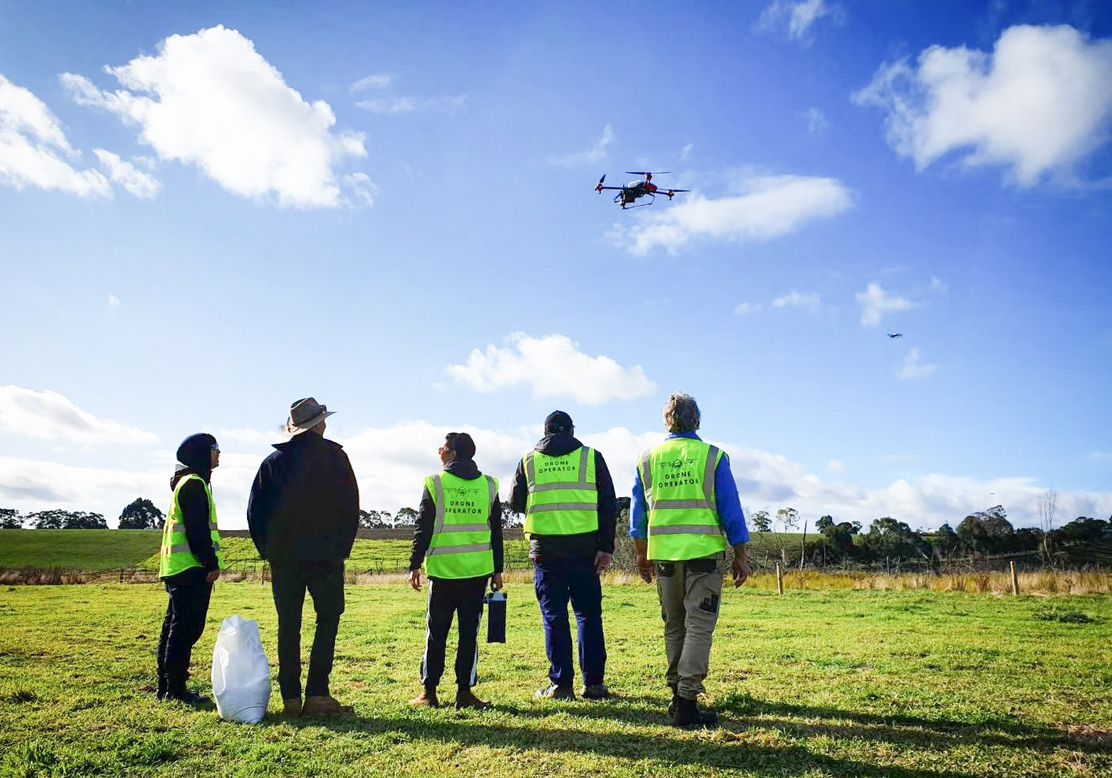 Witnessed by a group of pilot team, a nimble drone was flying above the fire-affected peat swamp to broadcast grass seeds for post fire recovery, Lake Cobrico, Victoria, Australia. April 2021.