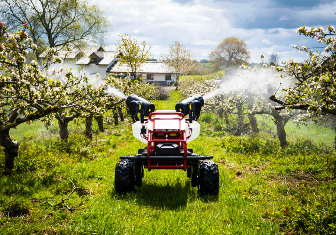A neatly planted apple orchard gets its first fungicide spray of the year, enjoying the sophisticated care from R150 robot without chemical pollution, UK. April 2021.