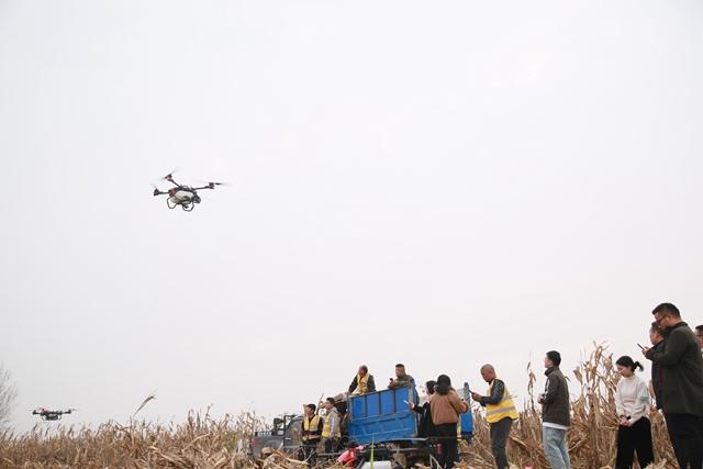 极飞P80农业无人机执行小麦飞播作业