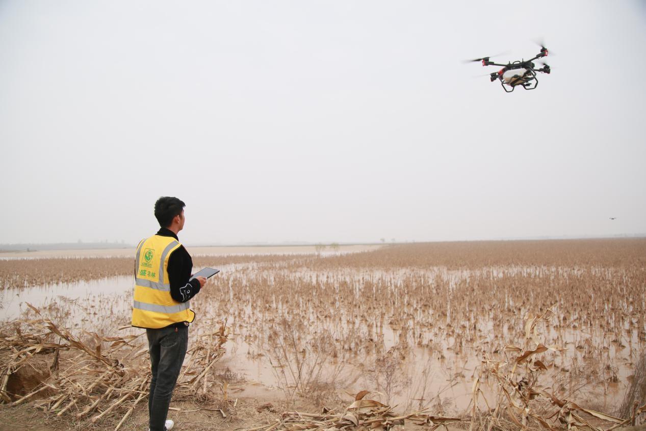 飛手操控極飛P80農業無人機進行小麥飛播