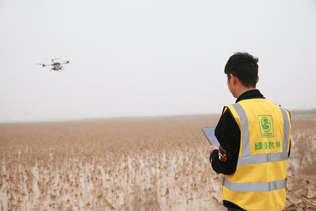 飞手操控极飞P80农业无人机进行小麦飞播