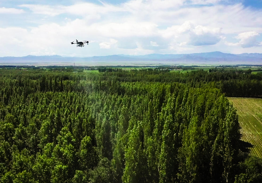 XAG Drone for Forest Disease Prevention