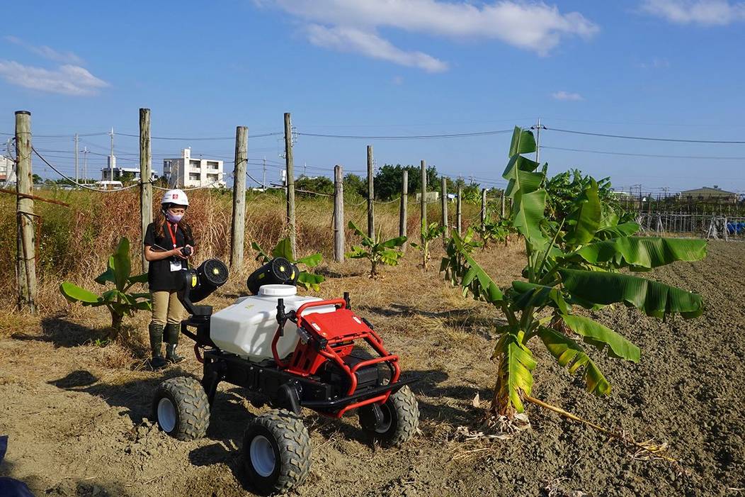 R150 Grows Banana