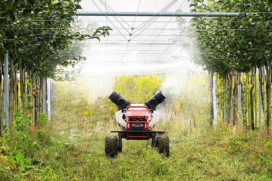 R150 Spray Under Grapevines