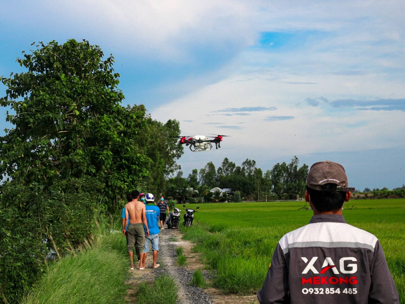 XAG P40 is spraying lime powder to the rice paddy to treat disease