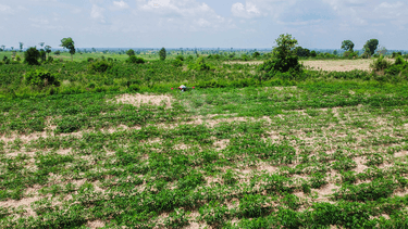 An XAG drone demonstrated its capacity of spraying autonomously