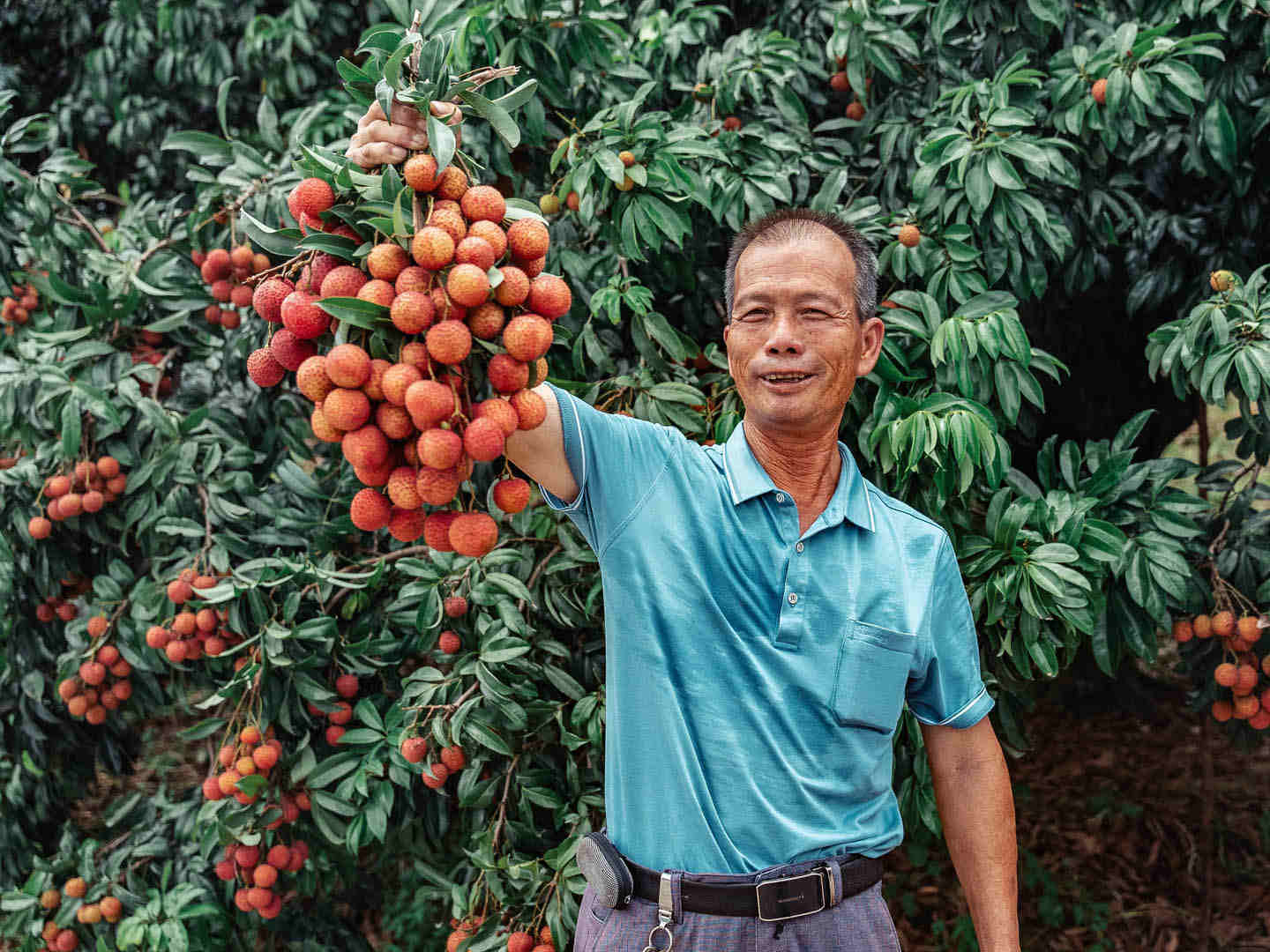 Behind a bite of lychee is the automation of orchards. The agricultural drone allows me to do the things I love even when I grow old. 