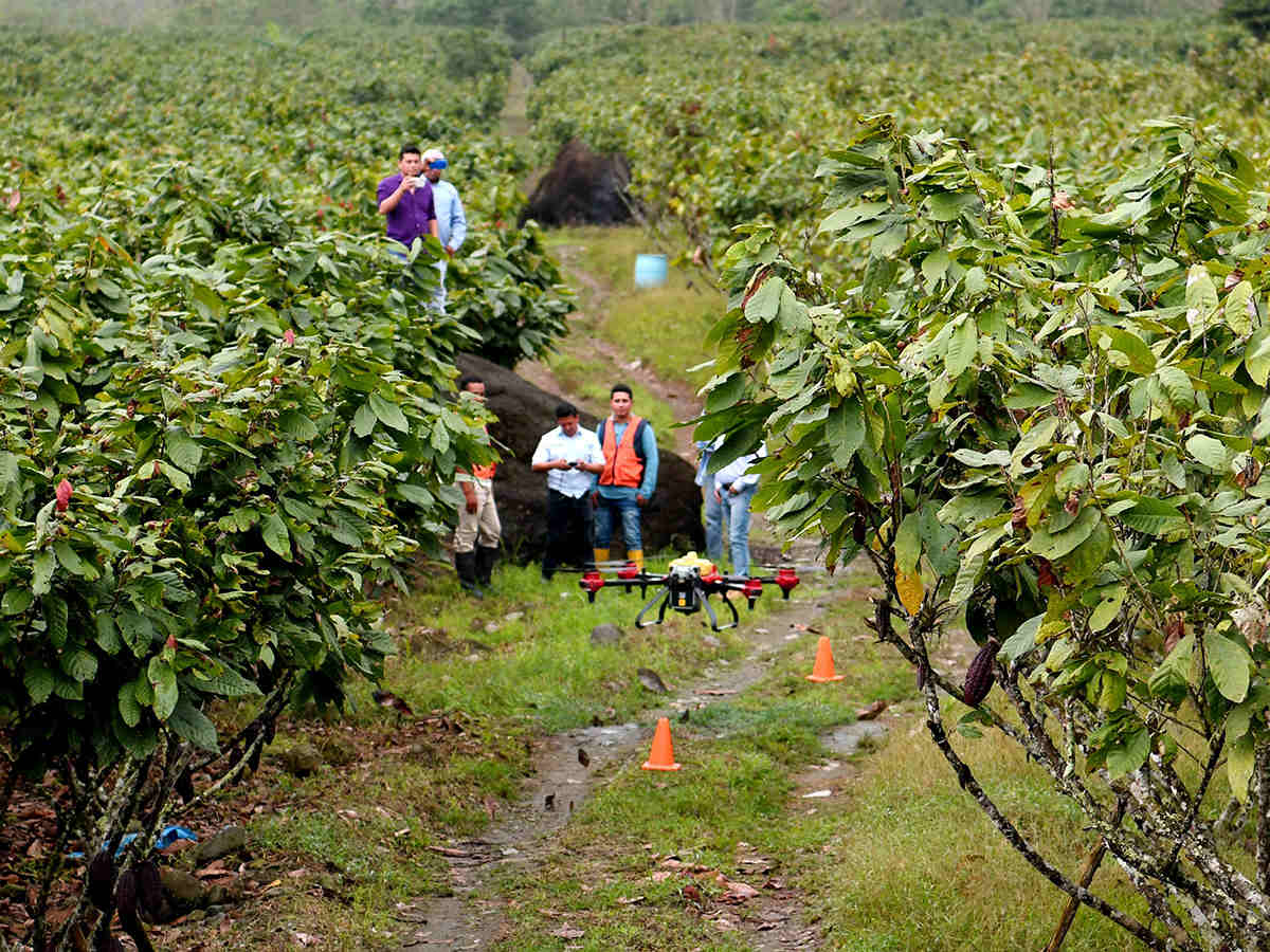 XAG agricultural drone conducted pest control in an Ecuadorian cacao farm  (Photo credit: Megadrone Ecuador)