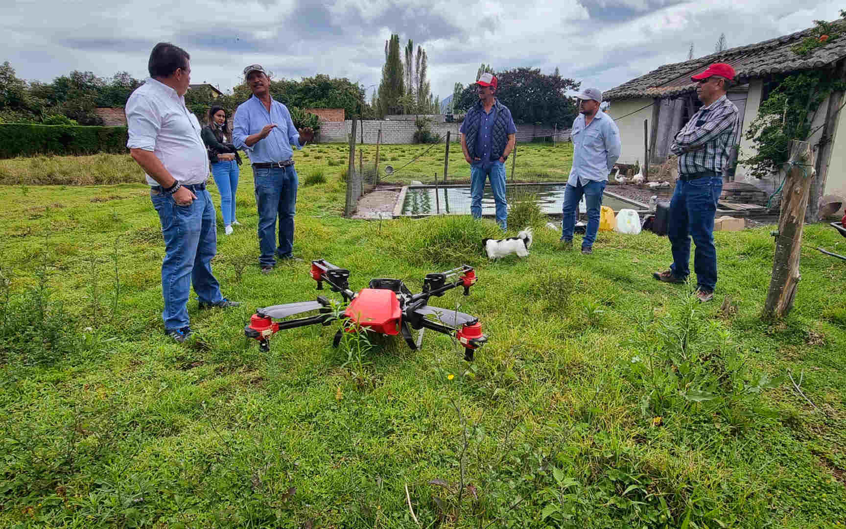 Despite a novelty in the flower industry, XAG drone demonstrates great potential of protecting the premium roses.