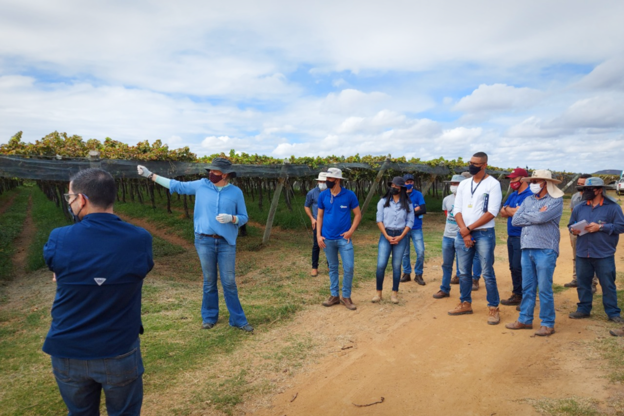 Regina and her team prepared crop service in an orchard of Brazil