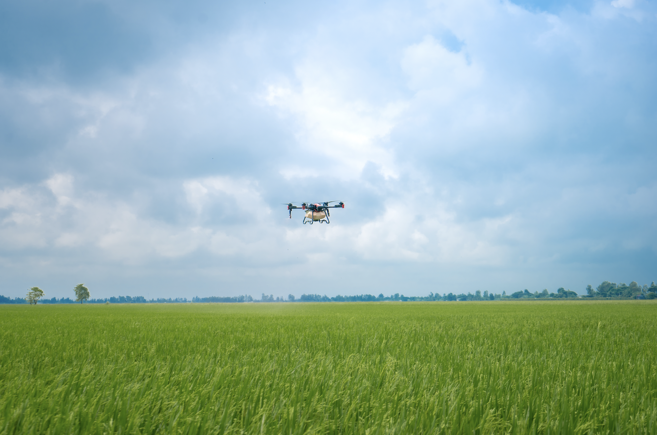 XAG P100 drone brings automation to Vietnam’s rice farming