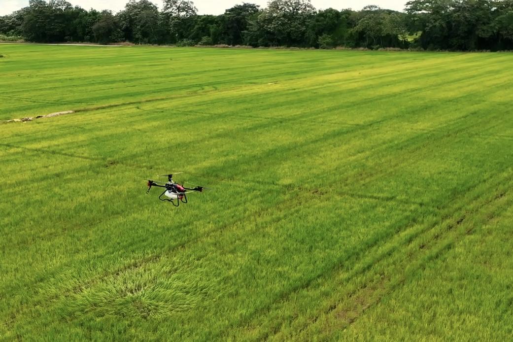 XAG P100 Agricultural Drone on Spraying Demonstration