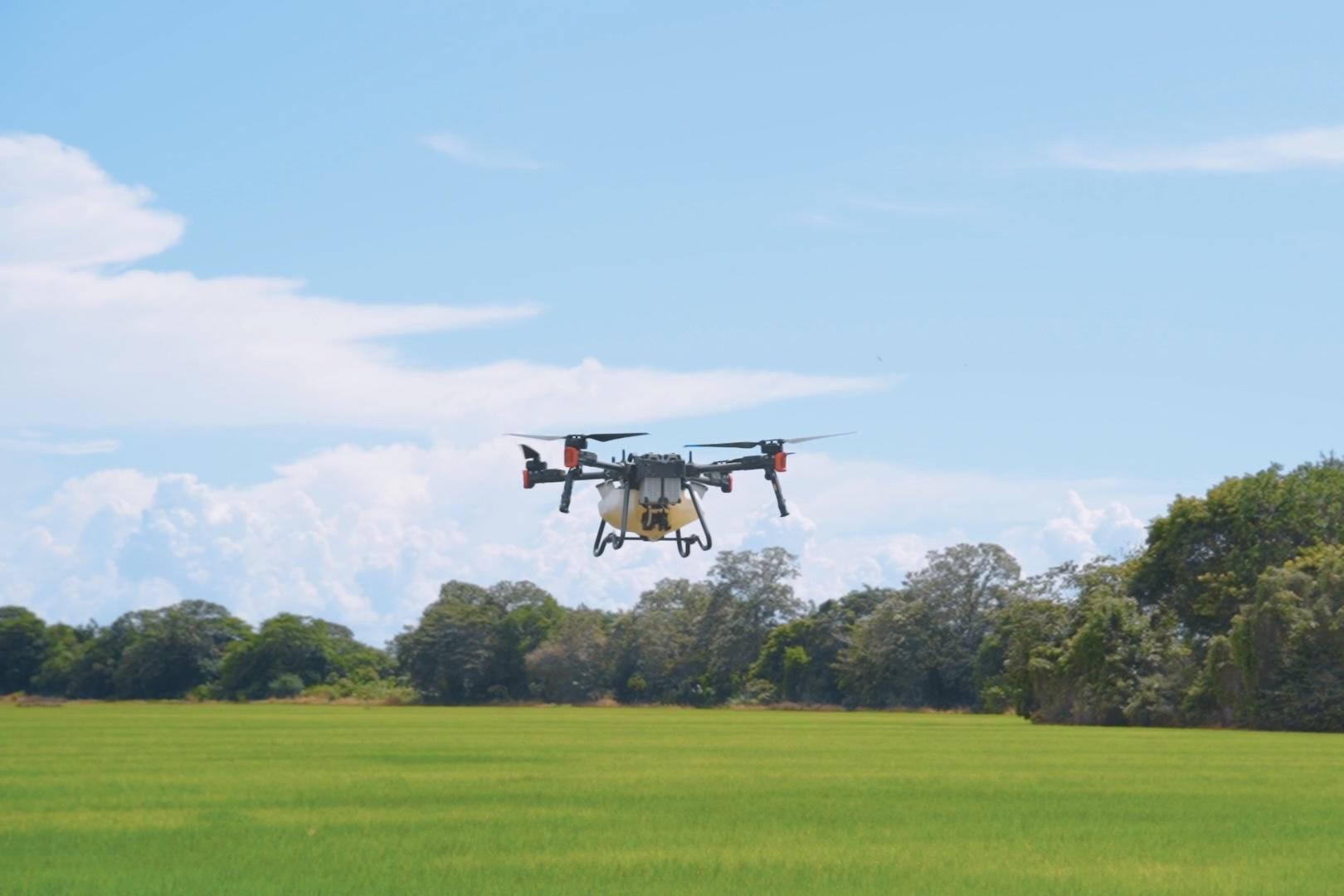 XAG P100 Agricultural Drone in Panama’s Rice Paddy