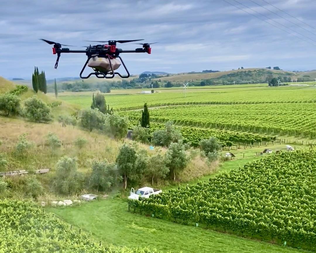 XAG P100 Agricultural Drone sprayed vineyard to protect wine grapes