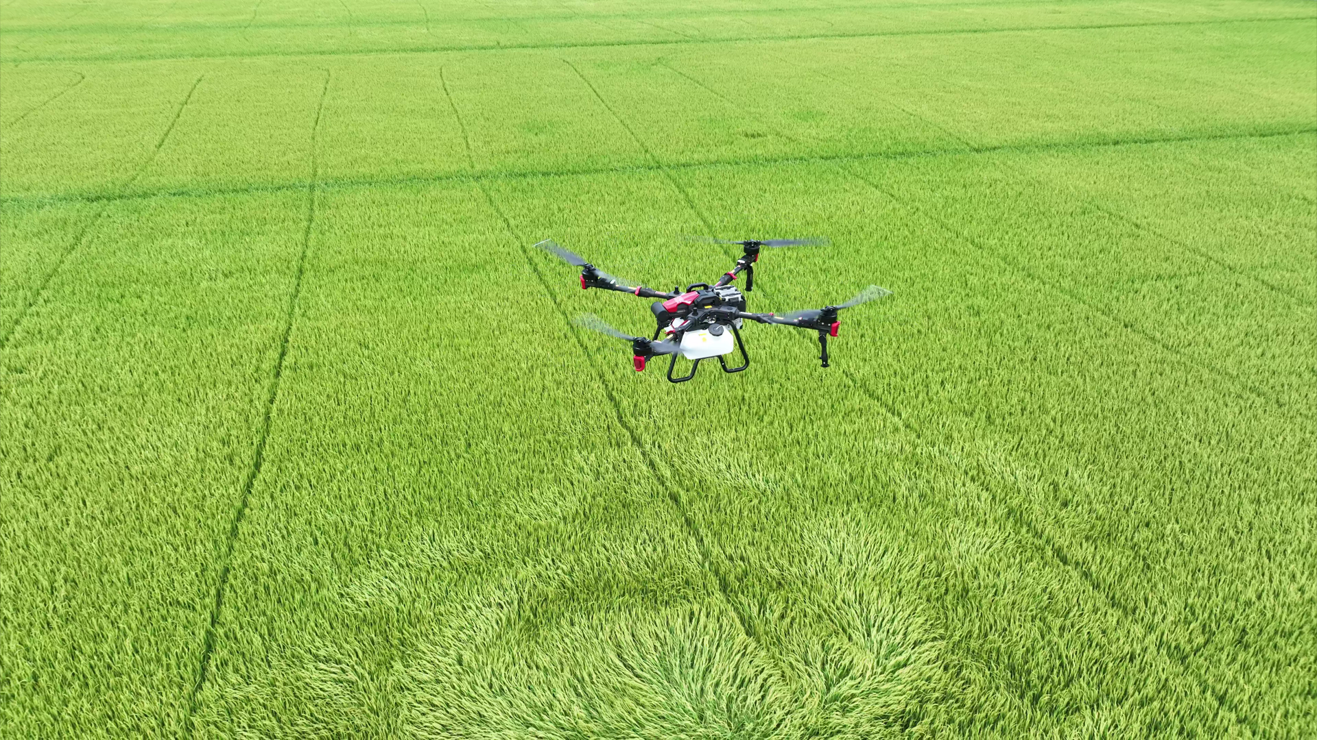 XAG P100 Pro Agricultural Drone flying over a rice field in Vietnam