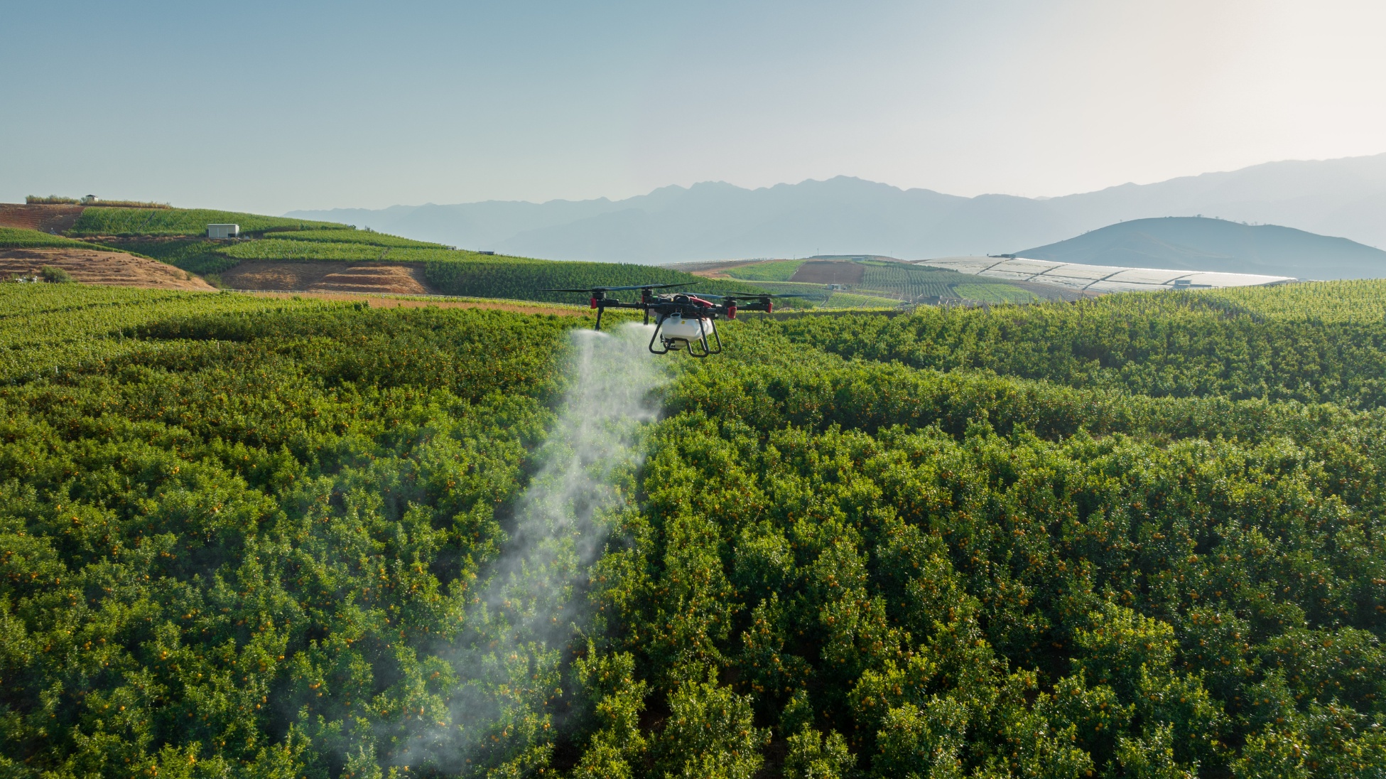 Spraying