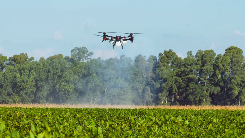 XAG P150 agricultural drone is spraying soybean in precision.